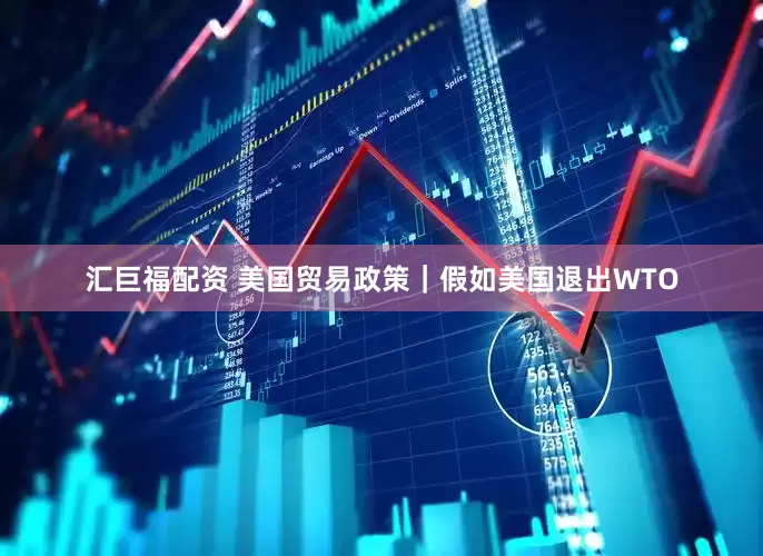 汇巨福配资 美国贸易政策｜假如美国退出WTO