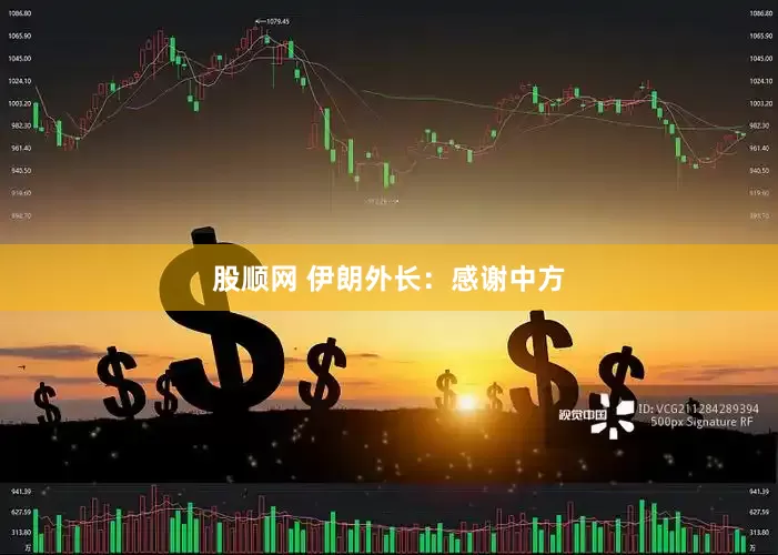 股顺网 伊朗外长：感谢中方
