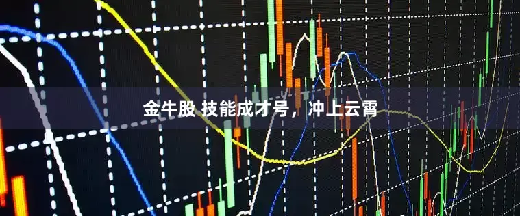 金牛股 技能成才号，冲上云霄
