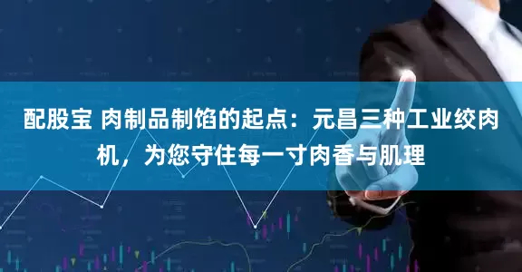 配股宝 肉制品制馅的起点：元昌三种工业绞肉机，为您守住每一寸肉香与肌理