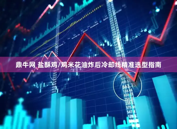 鼎牛网 盐酥鸡/鸡米花油炸后冷却线精准选型指南